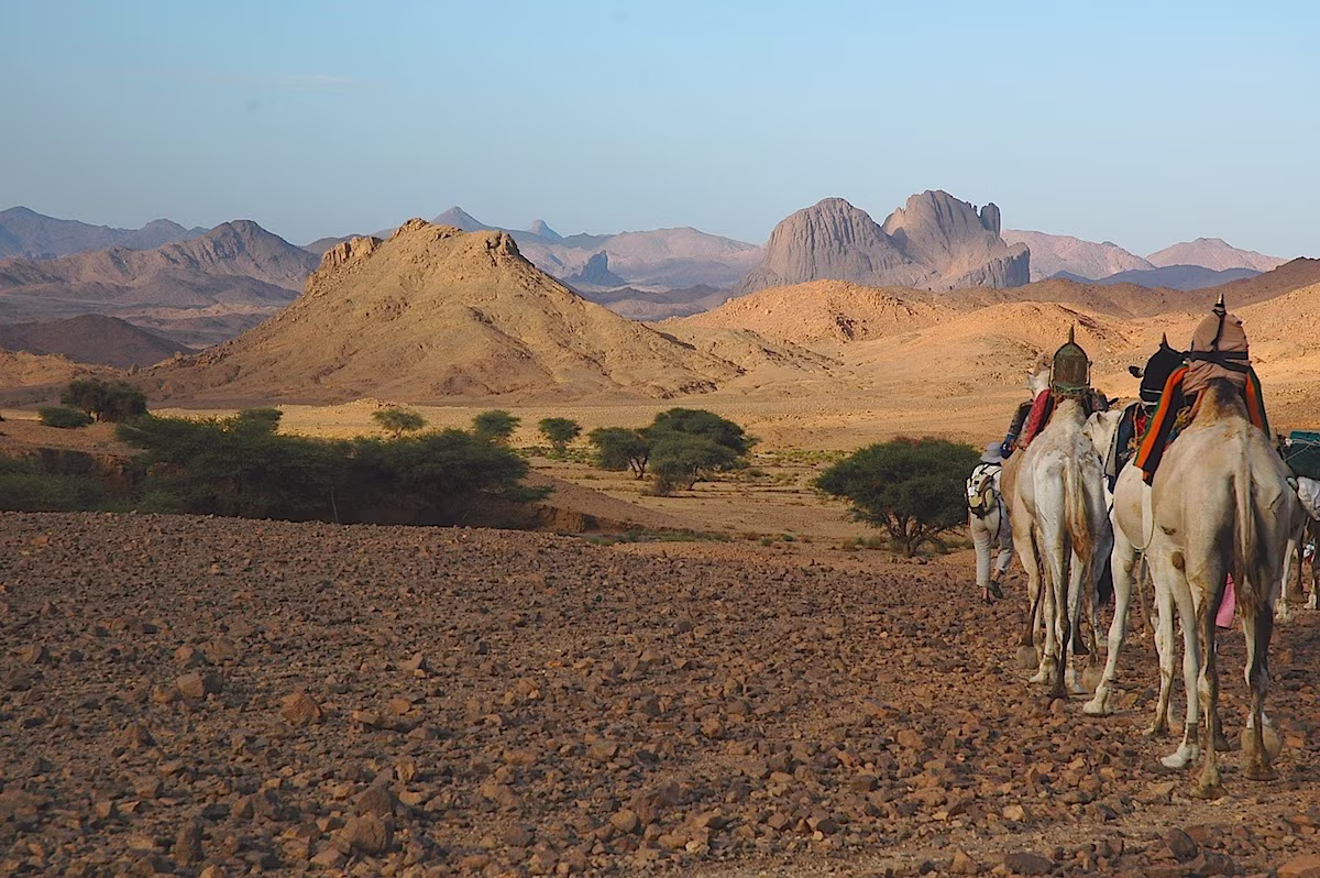 Kamelreise von Tamanrasset zum Assekrem über das Wadi Tanget und den Aréchoum